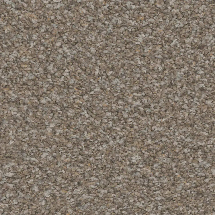 Hydra Carpet