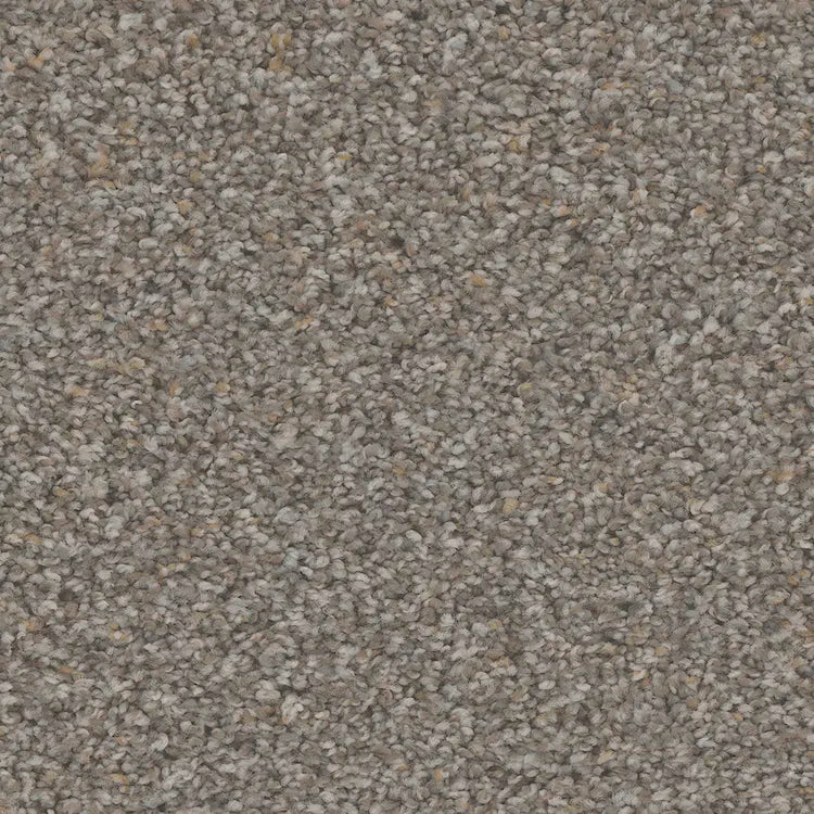 Hydra Carpet