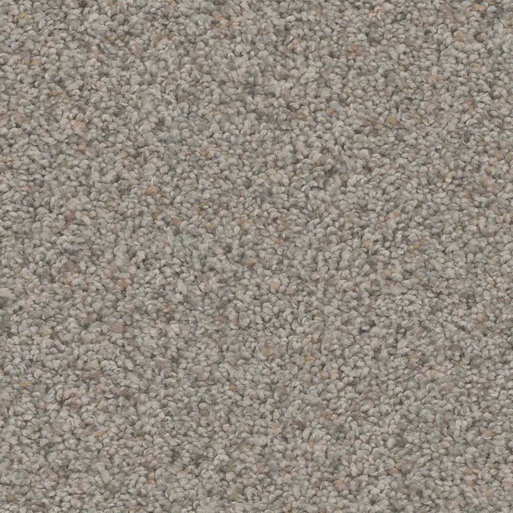 Hydra Carpet