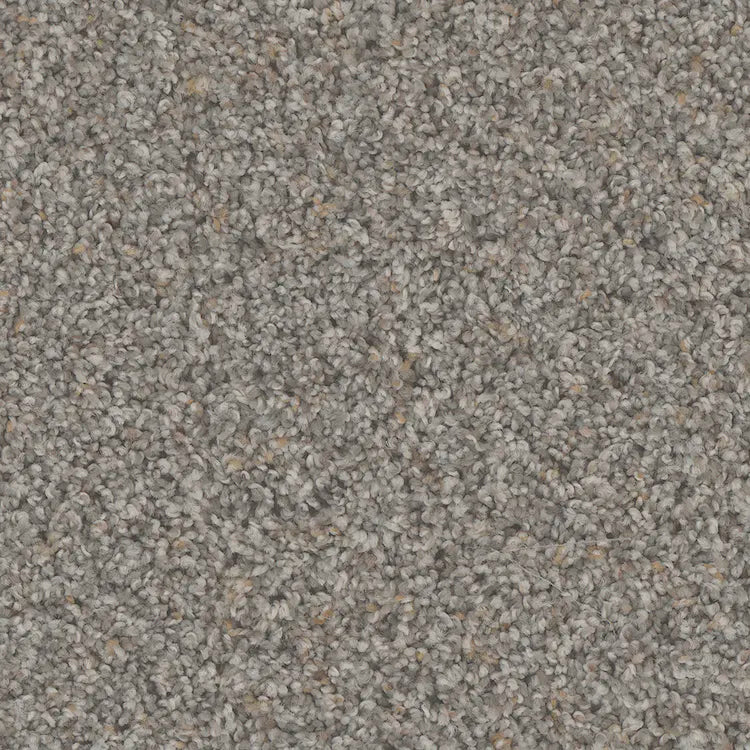 Hydra Carpet