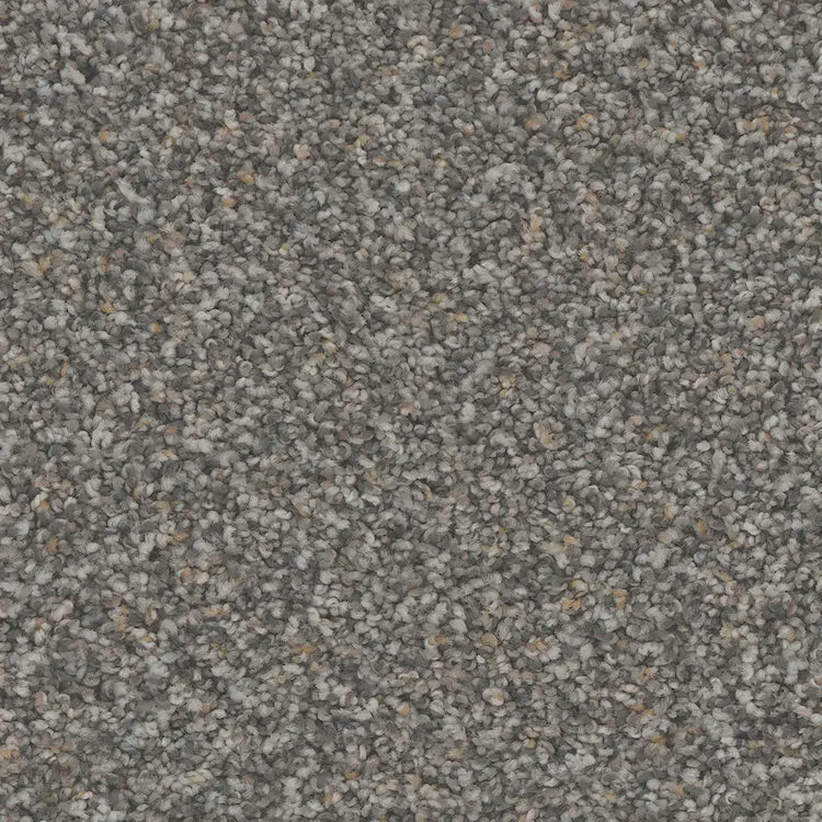 Hydra Carpet