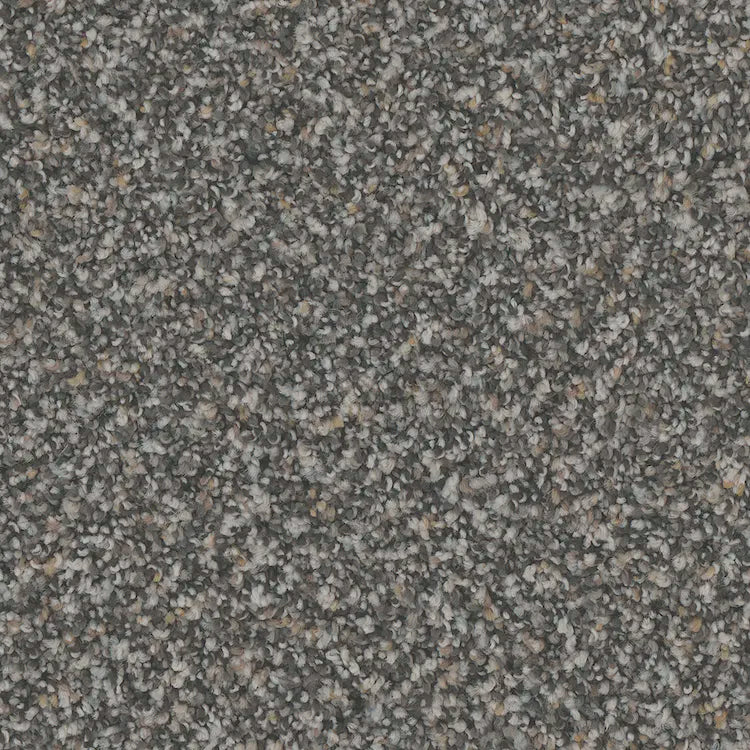 Hydra Carpet