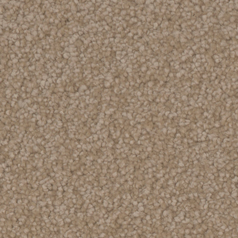 Manchester carpet in Countryside 137
