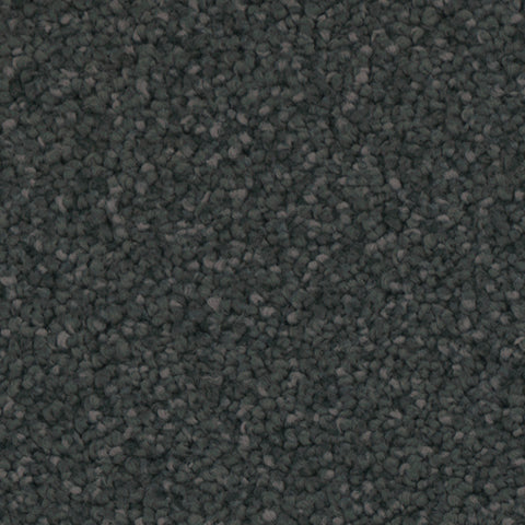 Manchester carpet in Garden 559
