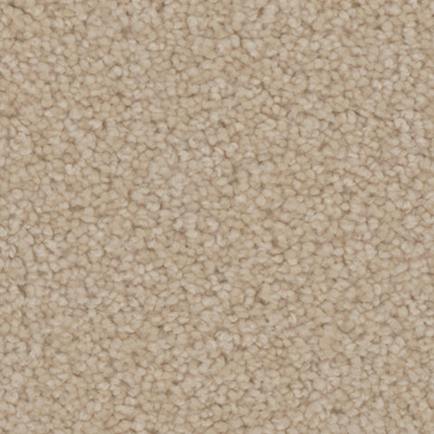 Providence carpet in Townlet 711
