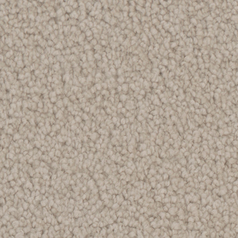 Providence carpet in Victorian 717