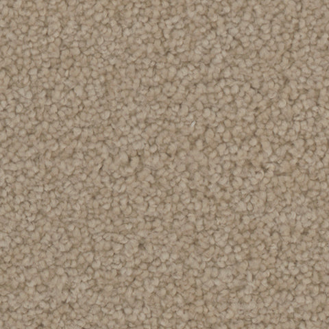 Manchester carpet in Grove 721