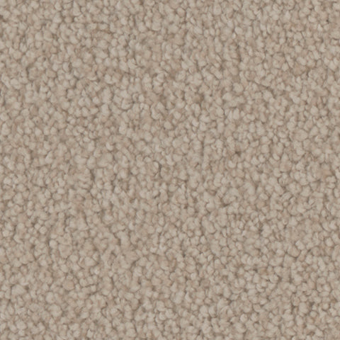Manchester carpet in Borough 727