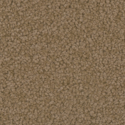 Providence carpet in Treasure 731