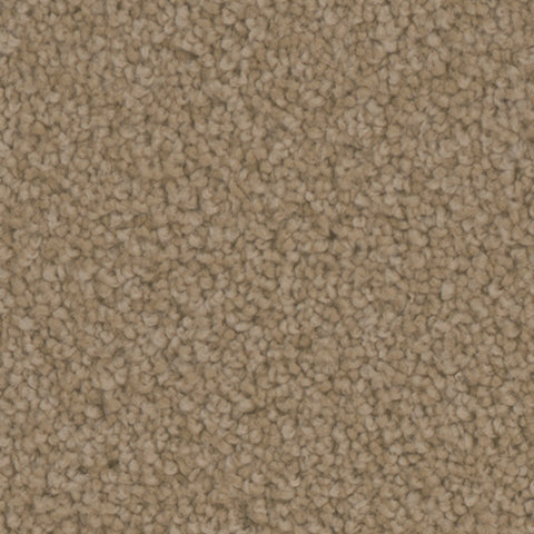 Manchester carpet in Gallery 737