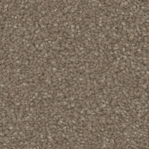 Providence carpet in Village 751