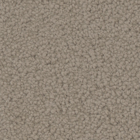 Manchester carpet in Stable 828