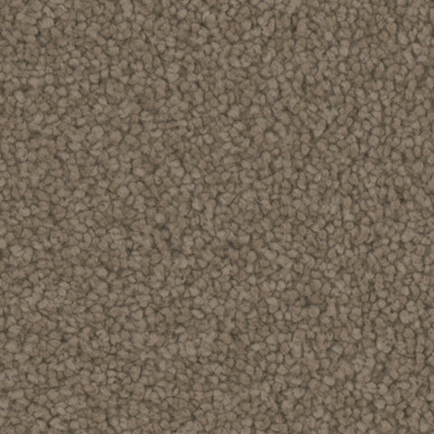 Manchester carpet in Cobblestone 838