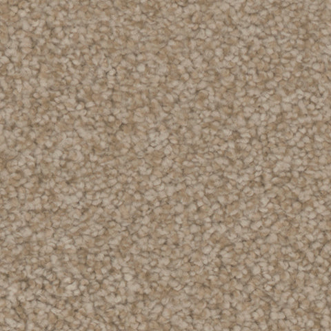 Manchester carpet in Cottage 851