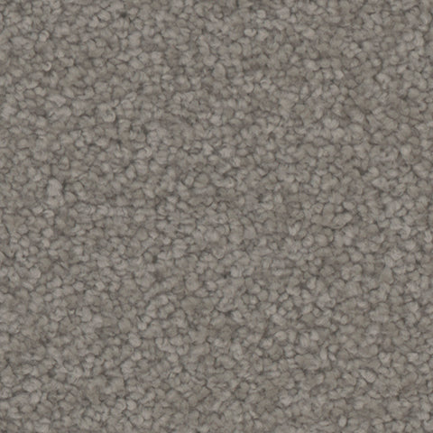 Manchester carpet in Alley 937