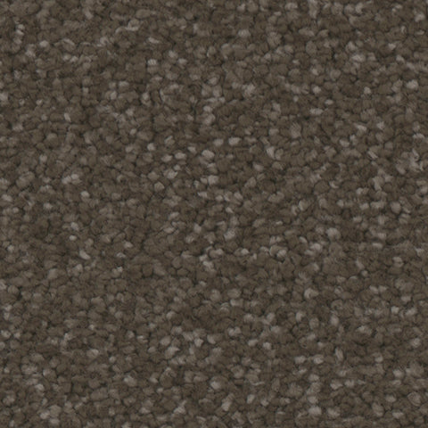 Providence carpet in Woodlands 959