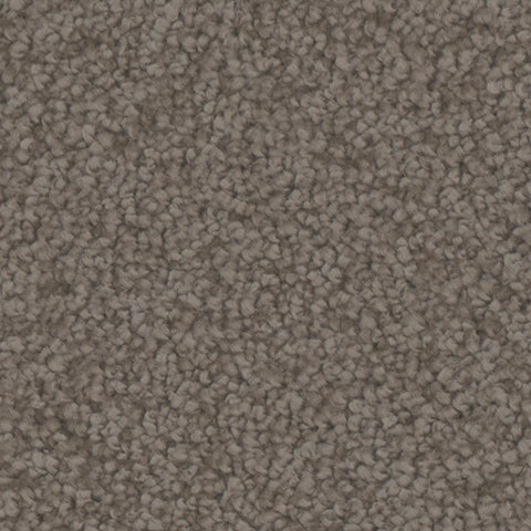 Providence carpet in Wrike 969