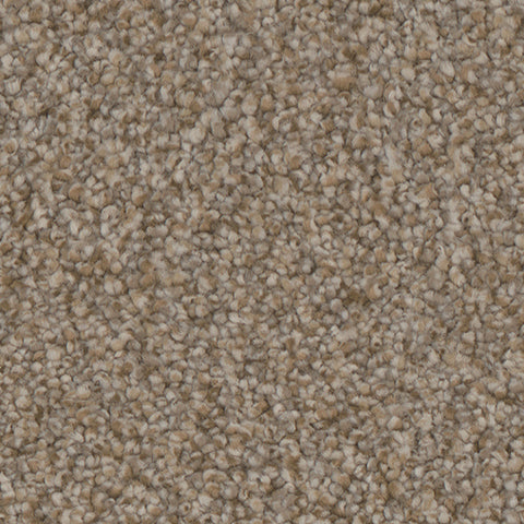 Montecito carpet in Lavish 717