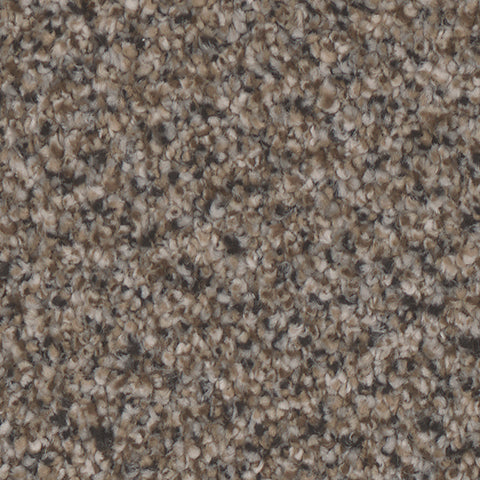 Montecito carpet in Stately 849
