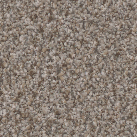 Summerland carpet in Chic 859