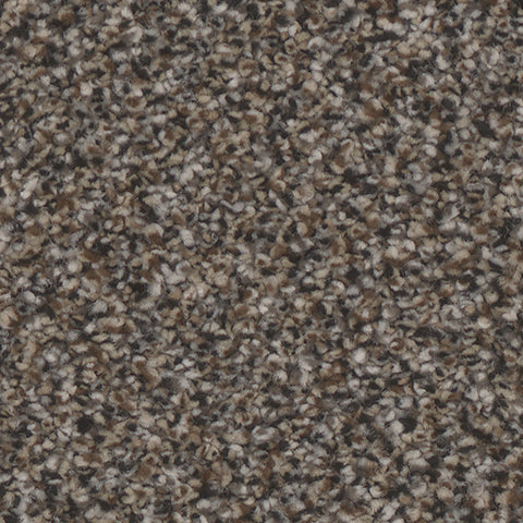 Montecito carpet in Ritzy 878