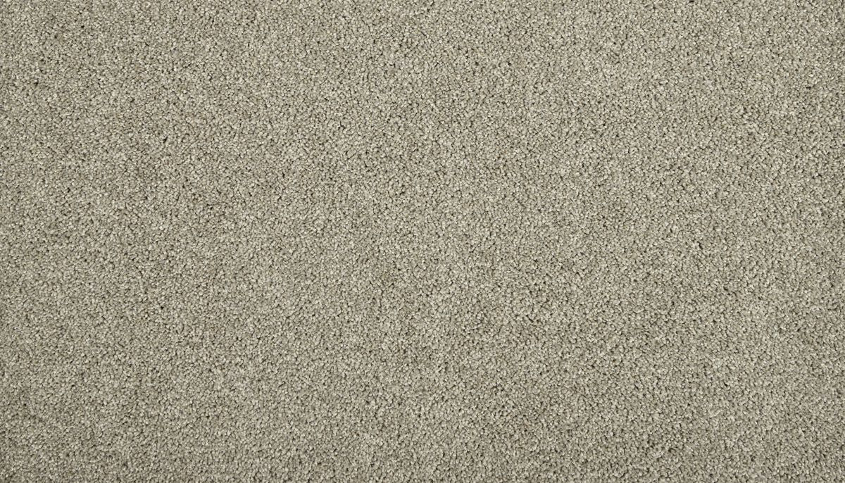 Zenith carpet in Stepping Stone