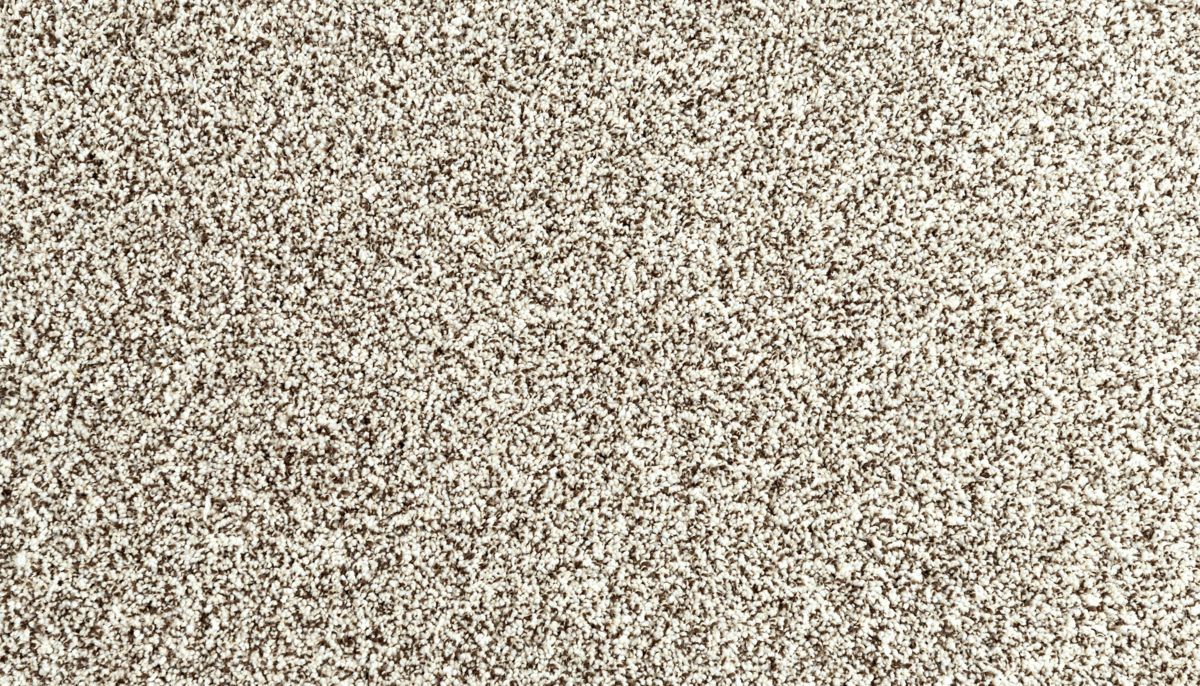 Assorted Elements I carpet in Quiet Light