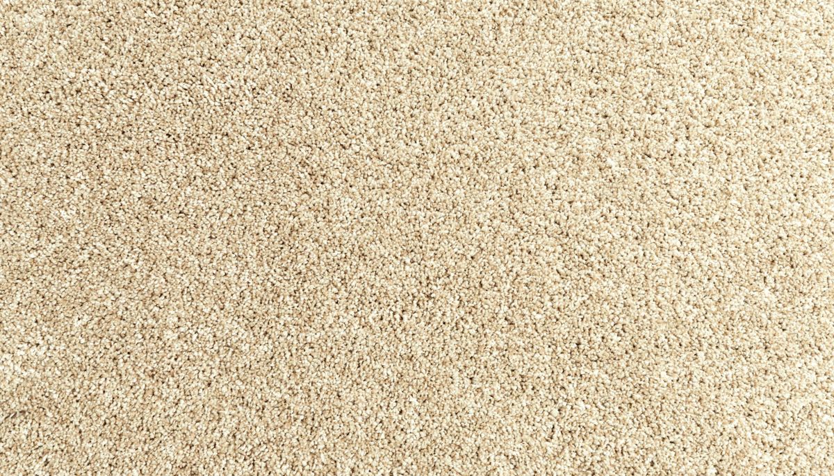 Essential Factors I carpet in Coastal Sands
