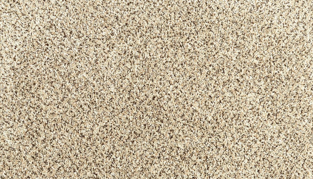Essential Factors I carpet in Cross Country