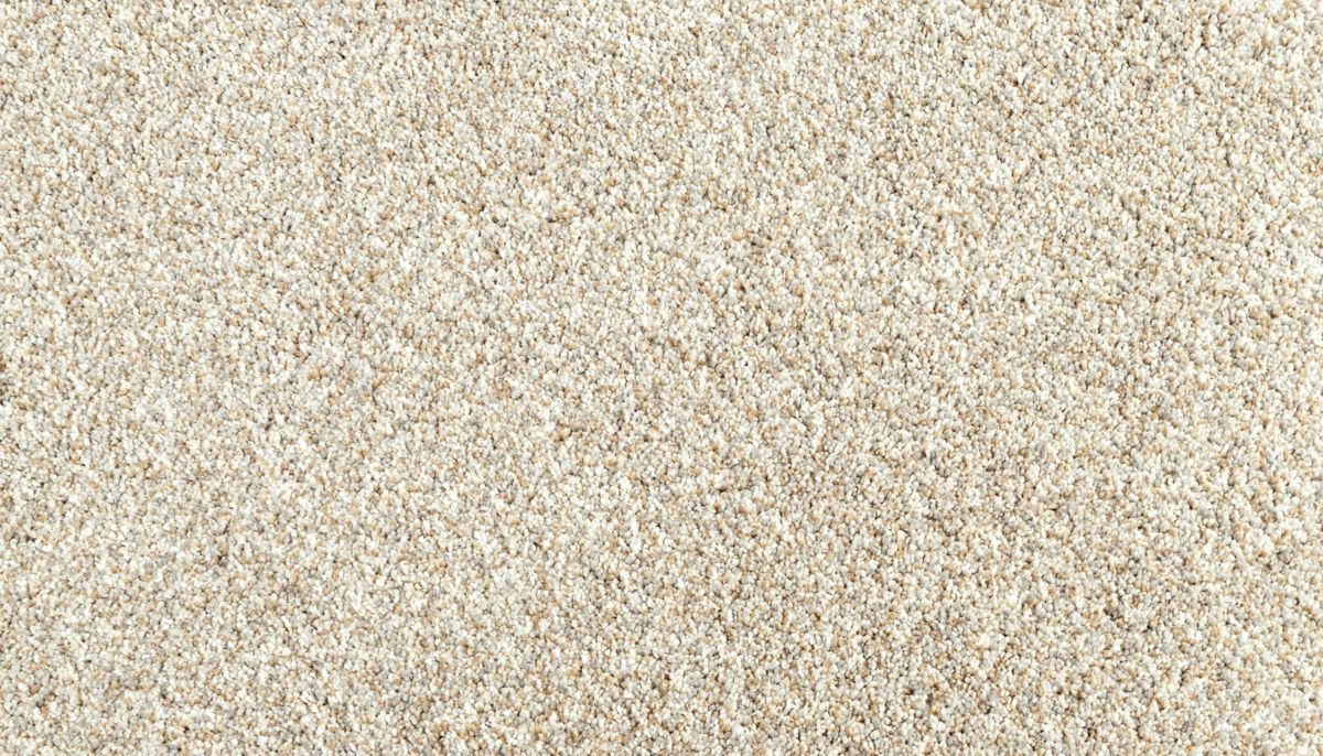Assorted Elements I carpet in Stoney Path