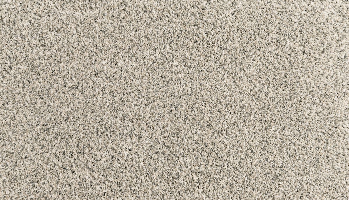 Assorted Elements I carpet in Silver Dollar