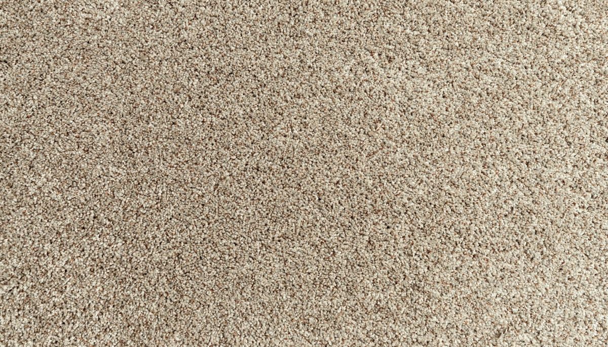 Assorted Elements I carpet in Dock