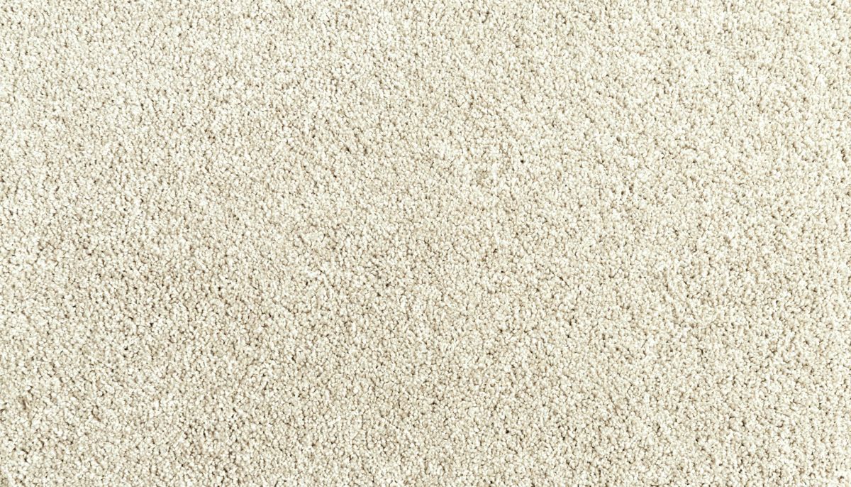 Assorted Elements II carpet in Taupe Shadow