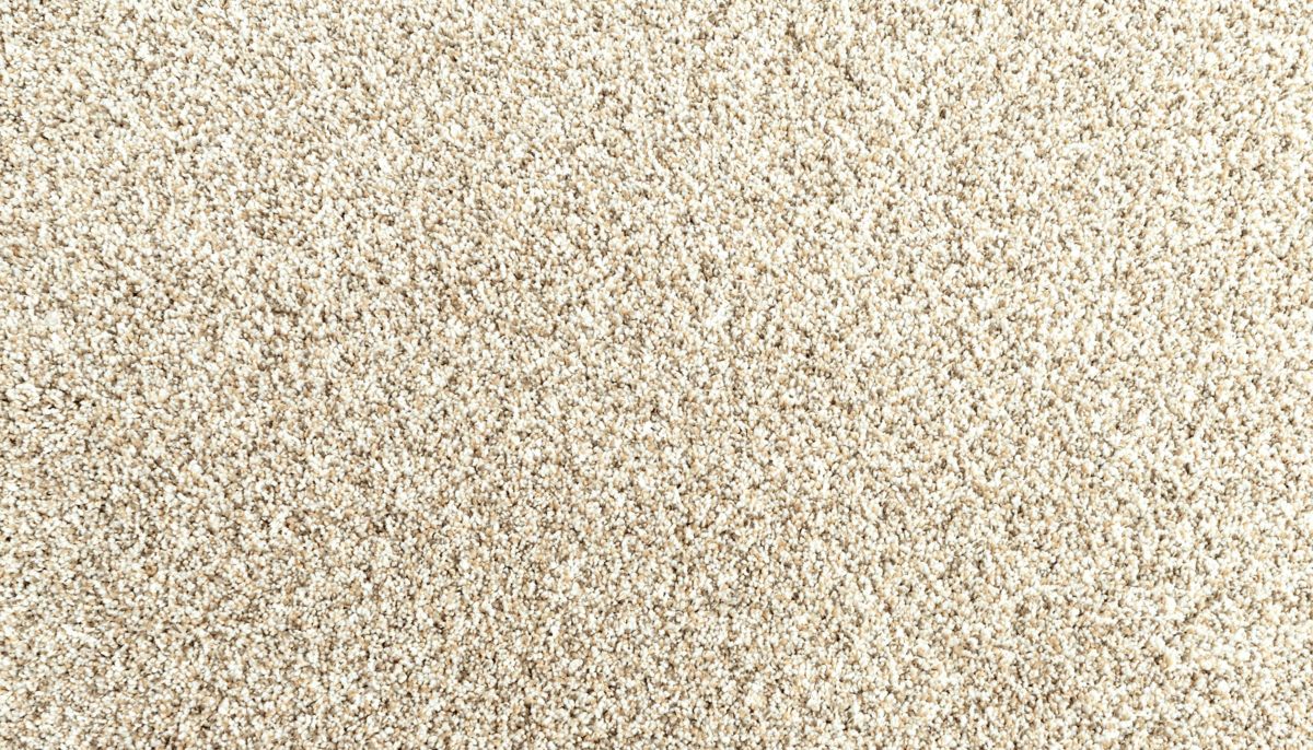 Assorted Elements II carpet in Sanderling
