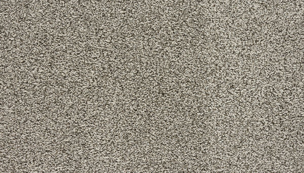 Assorted Elements II carpet in Quiet Light