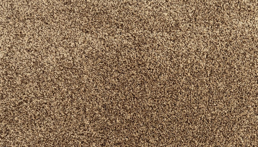 Mohawk EverStrand Assorted Elements II PET Carpet
