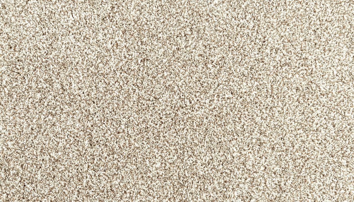 Assorted Elements II carpet in Elk Beige