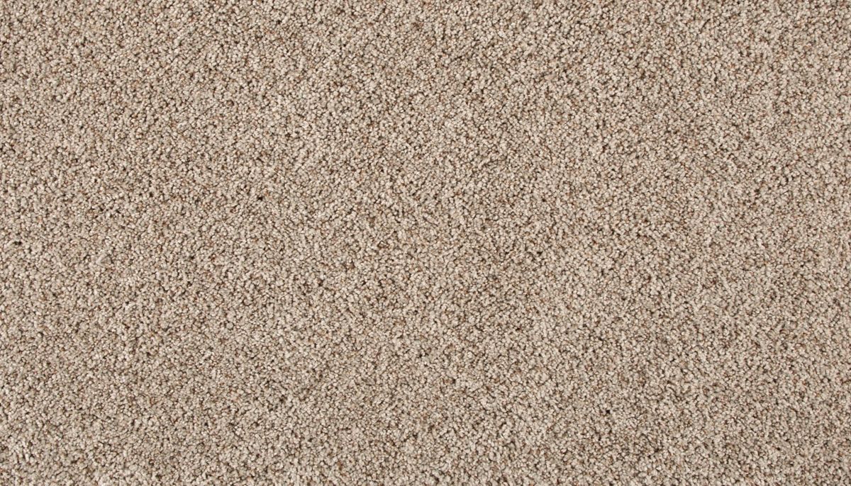 Assorted Elements II carpet in Dock