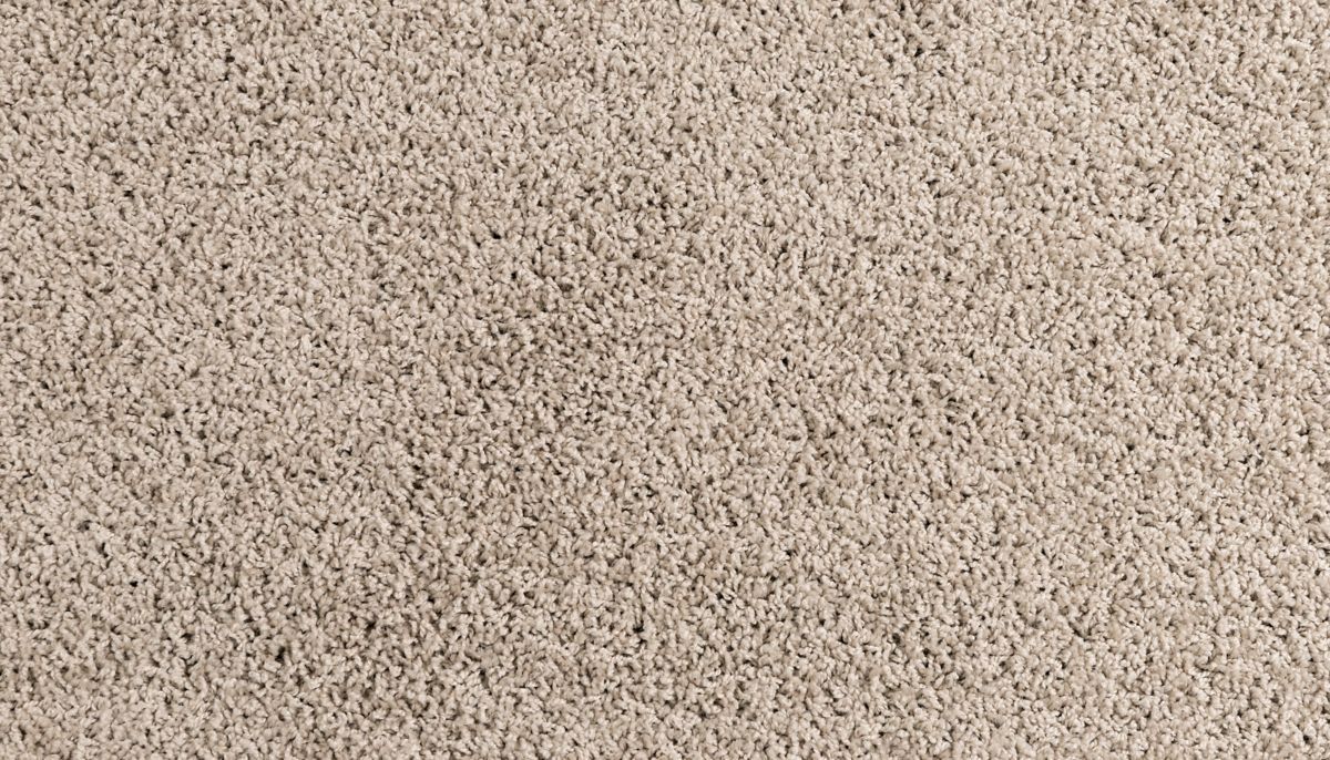 Haymaker carpet in Bird Bath