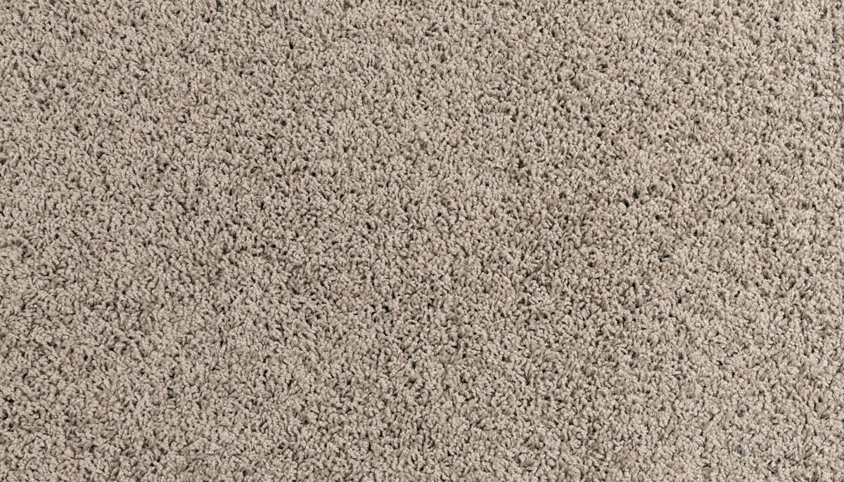 Haymaker carpet in Dock
