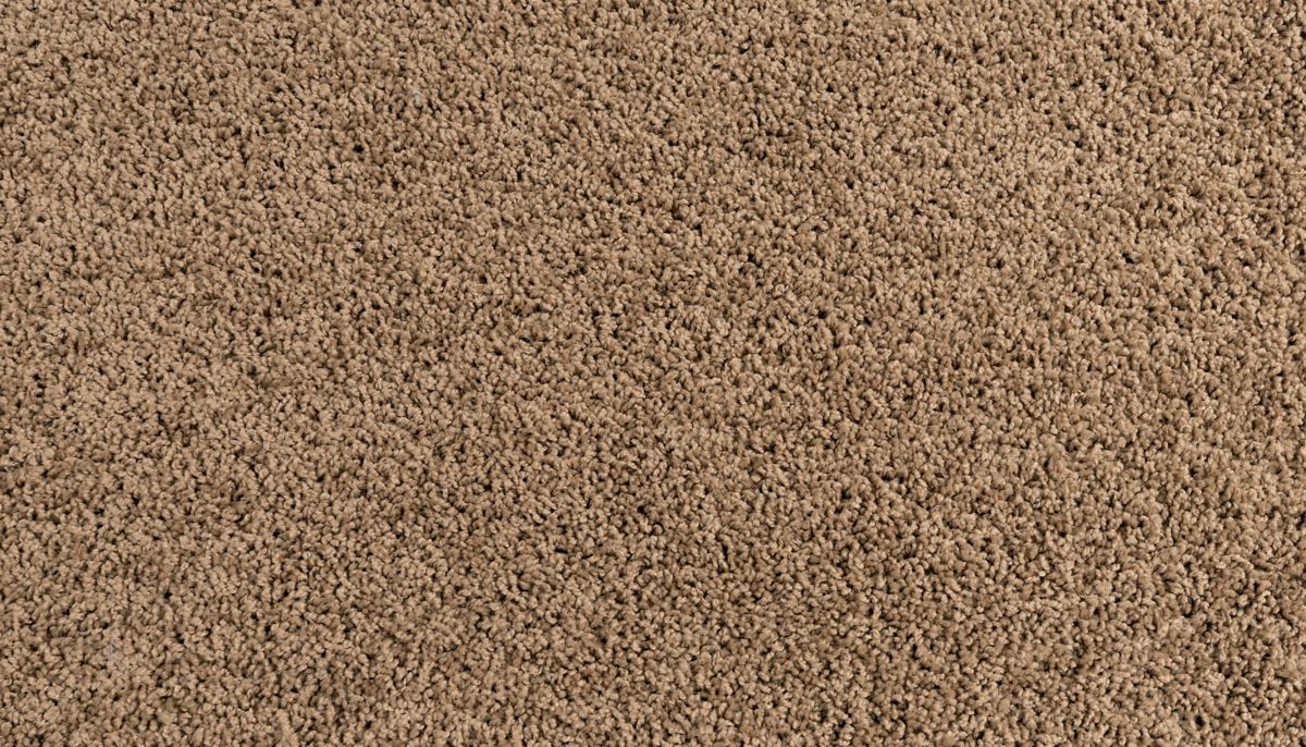 Haymaker carpet in Fowler