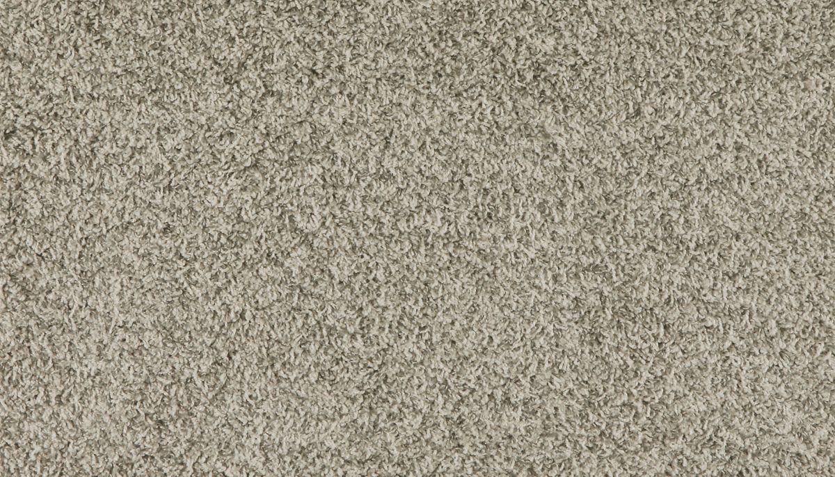 Marciano carpet in Silver Dollar