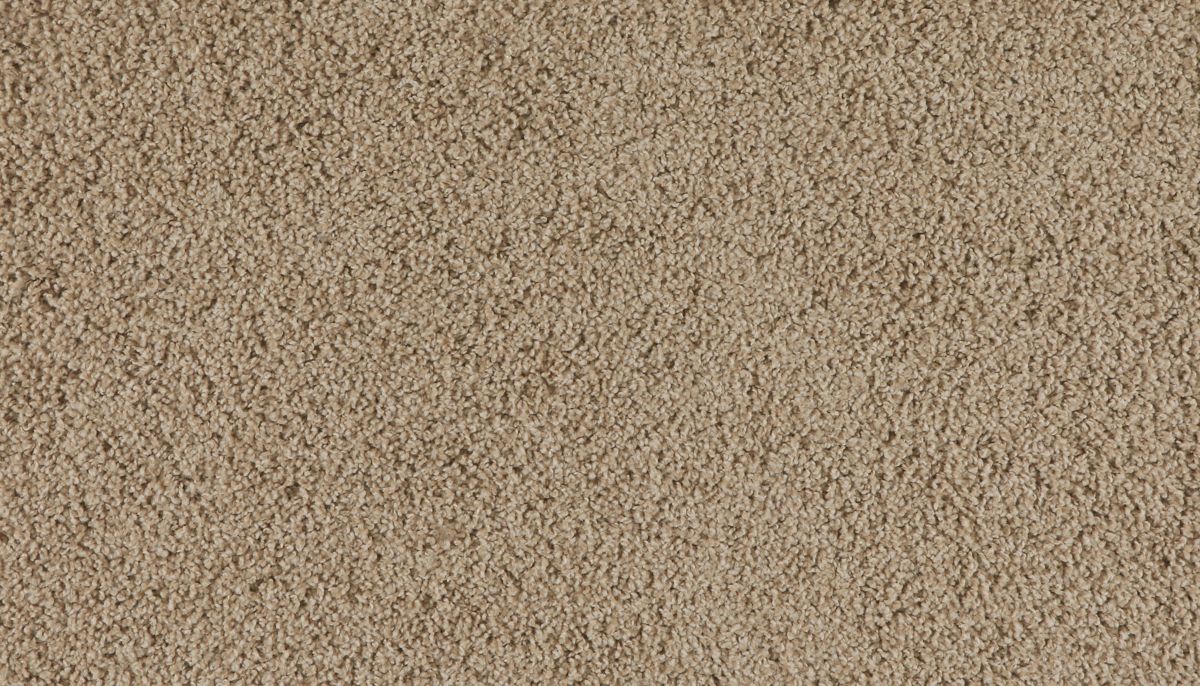 Marciano carpet in Toffee Cream