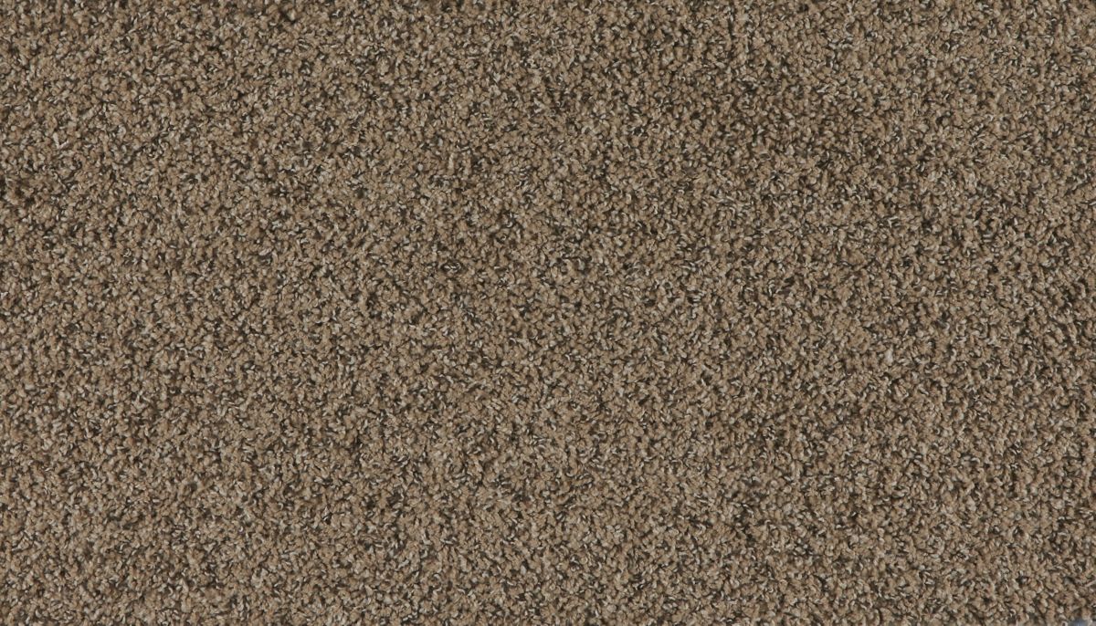Marciano carpet in Pepper Grass