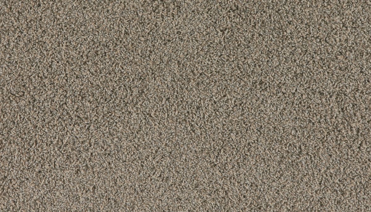 Marciano carpet in Flannel