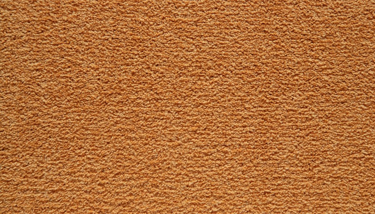 Showtime II carpet in Orange You Famous