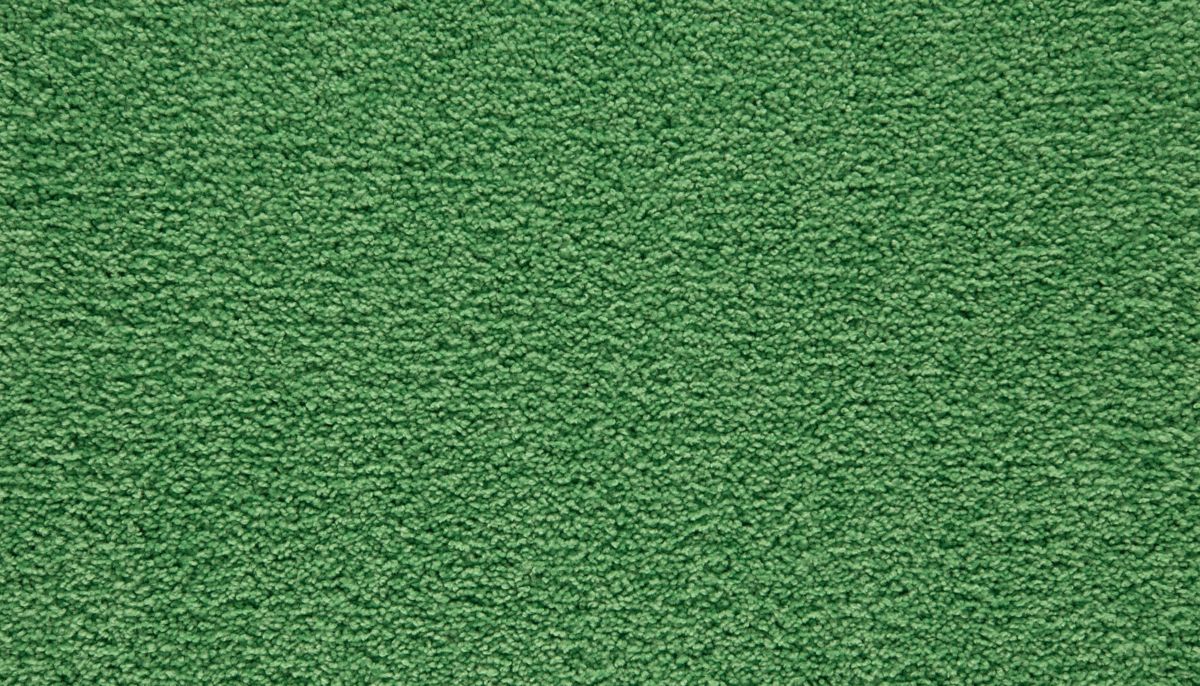 Showtime II carpet in Fresh Cut Fame