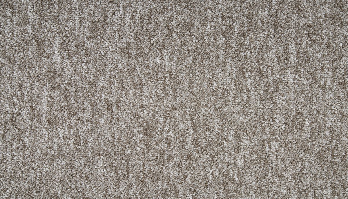 Oak Shade carpet in Driftwood