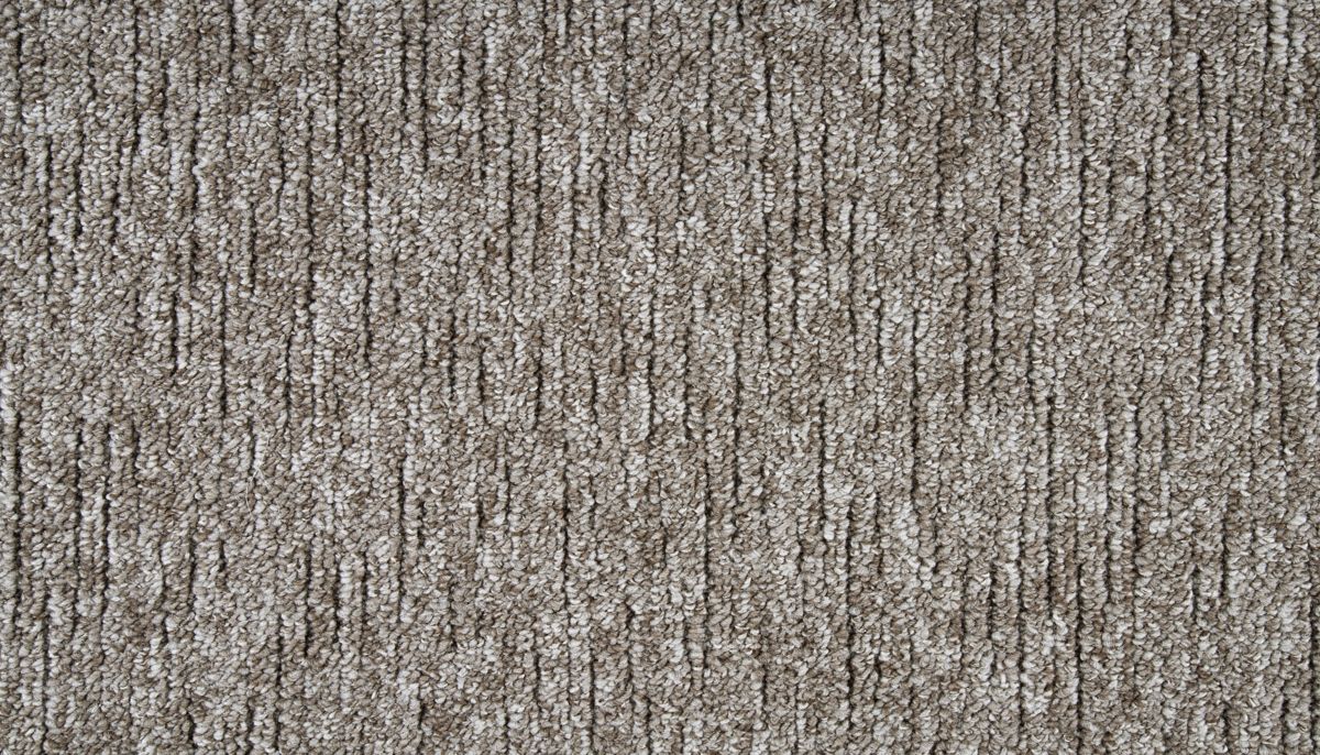 Maple Trail carpet in Driftwood