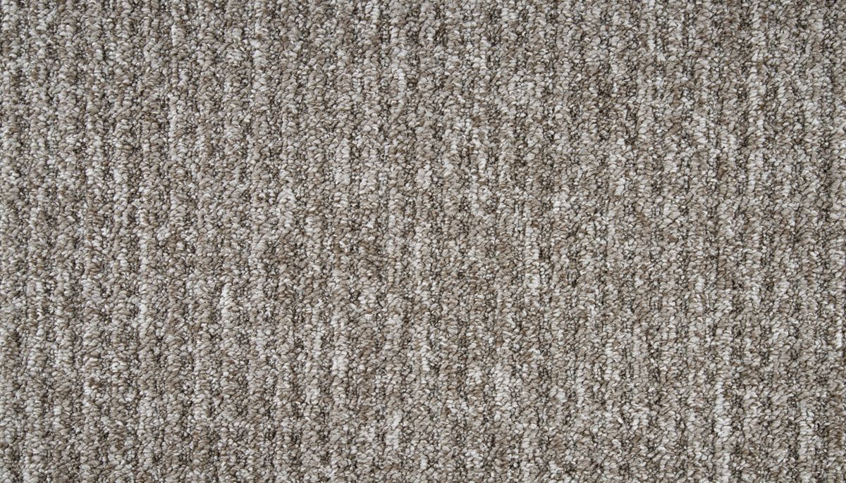 Cedar Touch carpet in Driftwood